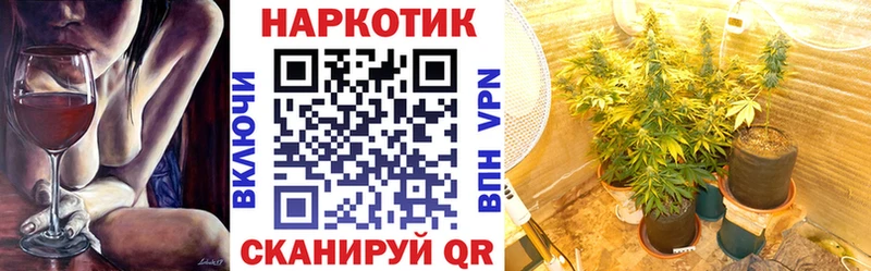 Наркота Андреаполь АМФЕТАМИН  кракен ТОР  Кетамин  Бошки Шишки  Меф мяу мяу  ГАШ  Alpha PVP  Cocaine 