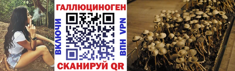 Псилоцибиновые грибы мицелий  Андреаполь 